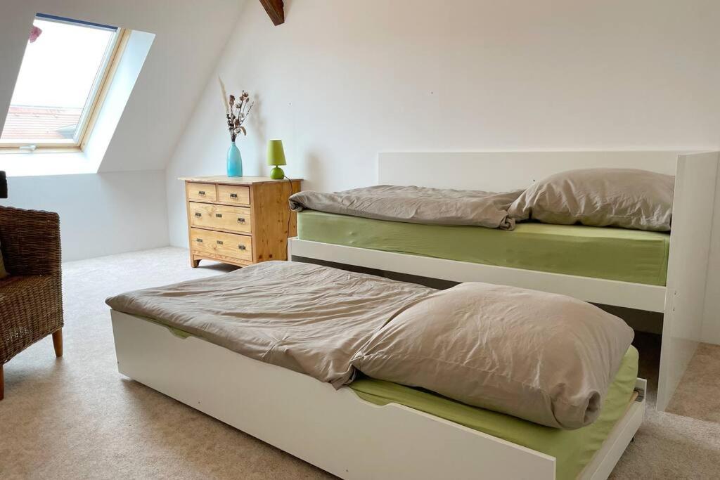 Appartement 105Qm-3-Raum, Zentral, Ruhig, Gemuetlich à Leipzig Extérieur photo