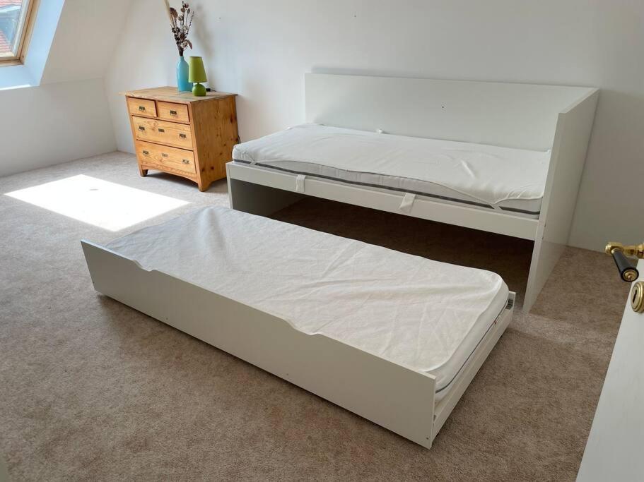 Appartement 105Qm-3-Raum, Zentral, Ruhig, Gemuetlich à Leipzig Extérieur photo